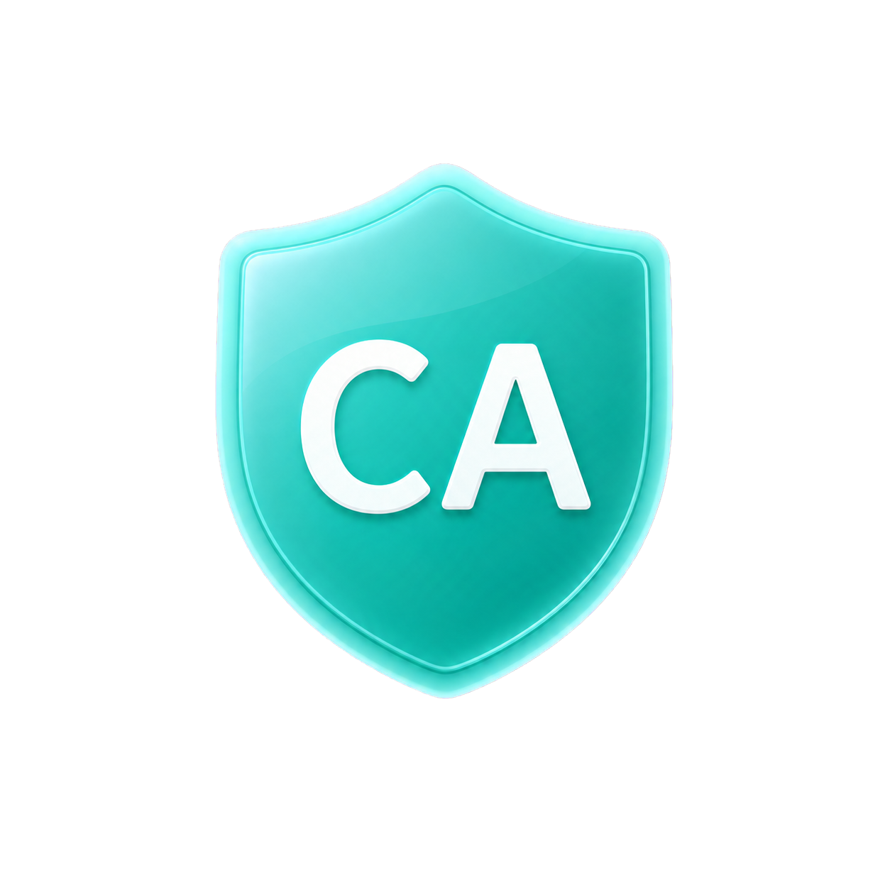 CA办理